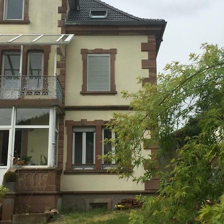 Apartament L'Aromeantic Rothau Zewnętrze zdjęcie