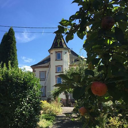 Apartament L'Aromeantic Rothau Zewnętrze zdjęcie