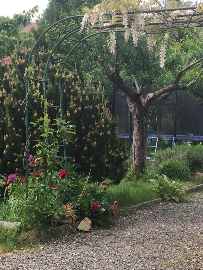 Apartament L'Aromeantic Rothau Zewnętrze zdjęcie