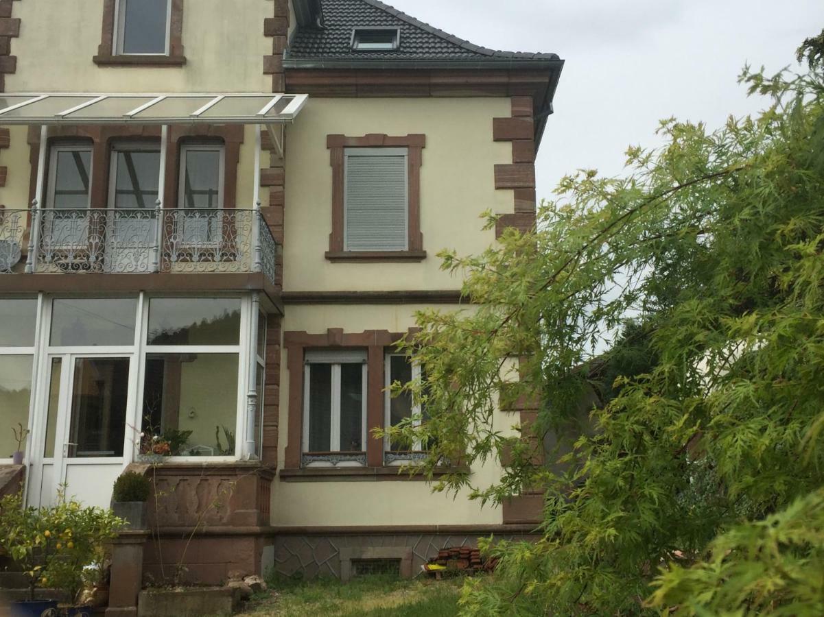 Apartament L'Aromeantic Rothau Zewnętrze zdjęcie
