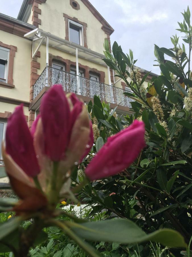 Apartament L'Aromeantic Rothau Zewnętrze zdjęcie